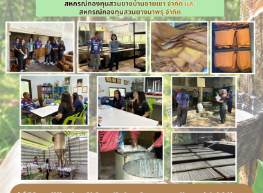 ลงพื้นที่ ณ สหกรณ์กองทุนสวนยางบ้านชายเขา จำกัด ... พารามิเตอร์รูปภาพ 10